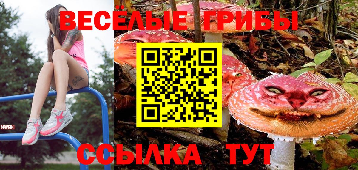 Галлюциногенные грибы мицелий  Галлюциногенные грибы мухоморы  Усолье-Сибирское  Вход с VPN 